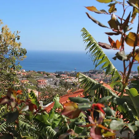 - Silvestre House פונשל