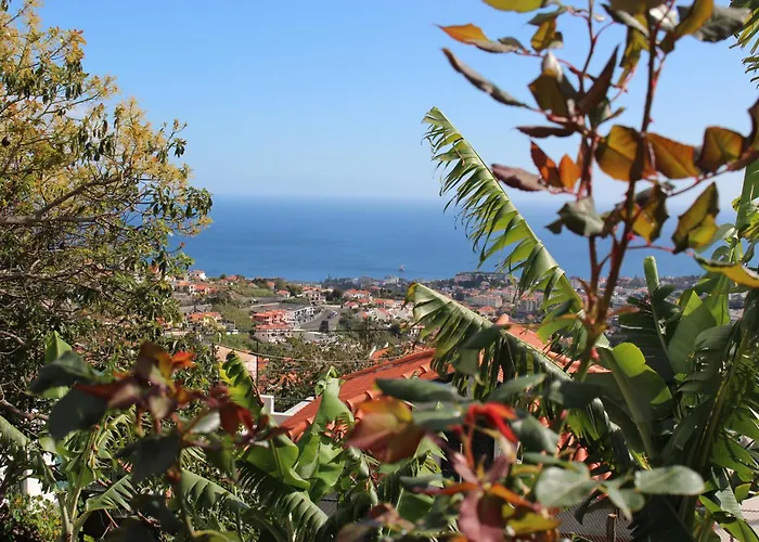 - Silvestre House פונשל